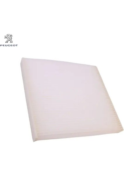 Polen Filtresi Boxer-Ducato 2.0/2.2/2.3/3.0hdi 06-