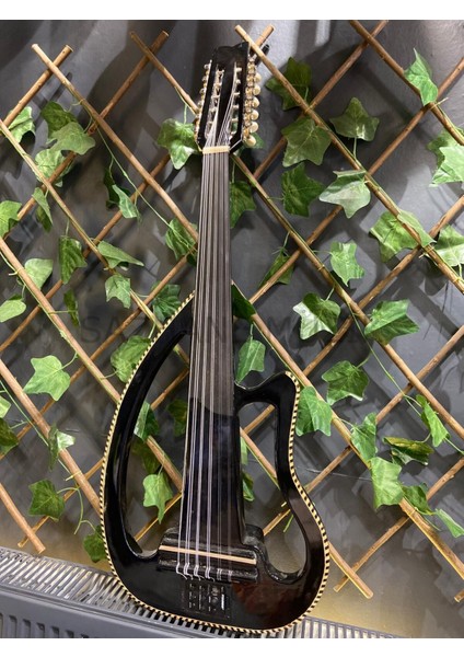 Kesik Kasa Ekolayzırlı Ud (Sahne Udu)