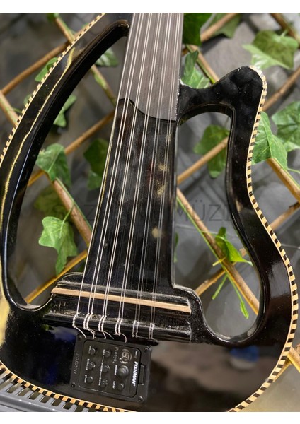 Kesik Kasa Ekolayzırlı Ud (Sahne Udu) fiyatları