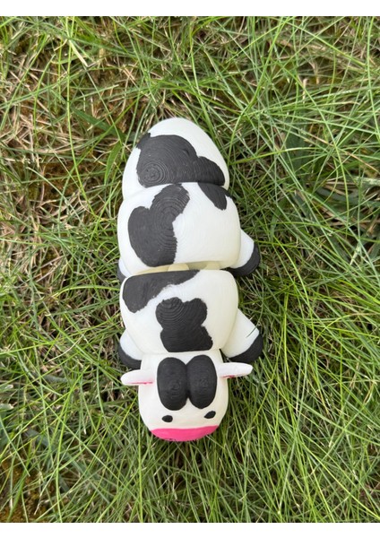 Minik Beyaz Eklemli Inek