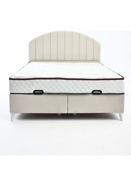 Serenity Form Tek Kişilik Yatak Baza Başlık Seti (90 x 190)