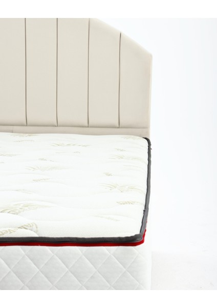 Serenity Form Tek Kişilik Yatak Baza Başlık Seti (90 x 190)