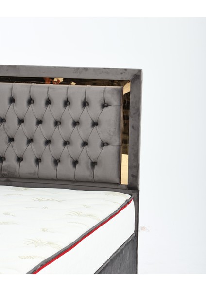 Vera Form Tek Kişilik Yatak Baza Başlık Seti (140 x 190)