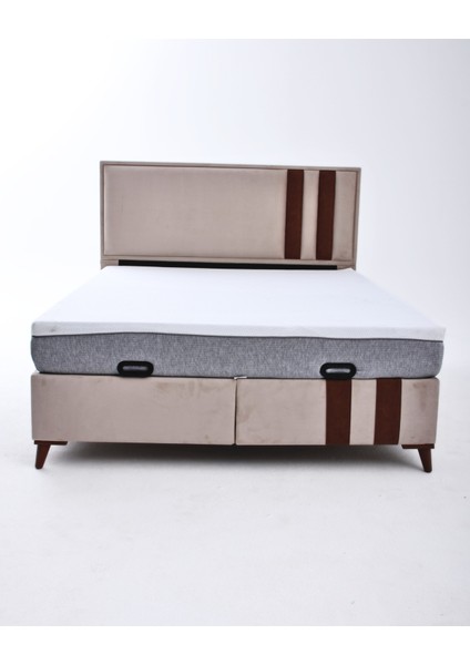 Luna Form Tek Kişilik Yatak Baza Başlık Seti (140 x 190)