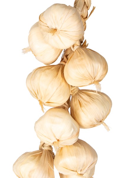 Yapay Soğan Bağ Beyaz fiyatları