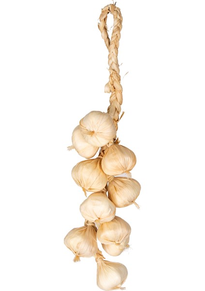 Yapay Soğan Bağ Beyaz modelleri