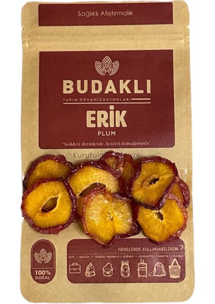 Erik Kurusu 100 Gr fiyatları