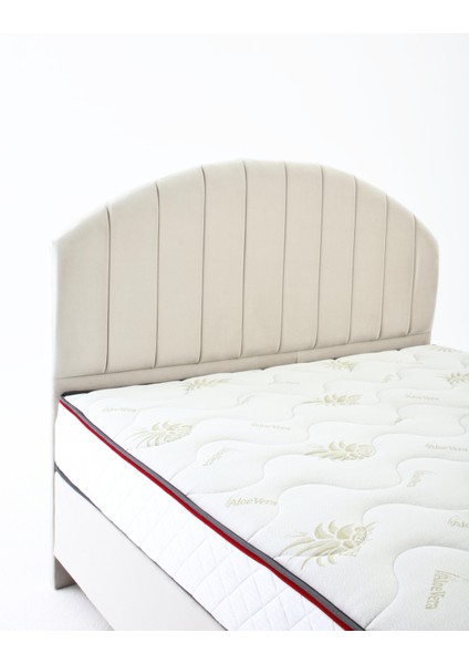 Serenity Form Tek Kişilik Yatak Baza Başlık Seti (150 x 200) fırsatları