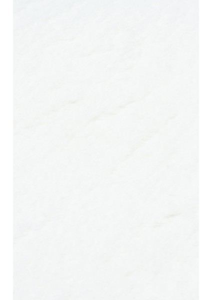 Mollis New Tekli Single White Xxl Yumuşacık Dokulu Yıkanabilir Post Pelüş Halı fiyatları