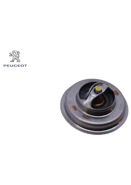 Termostat Peugeot 1338.16