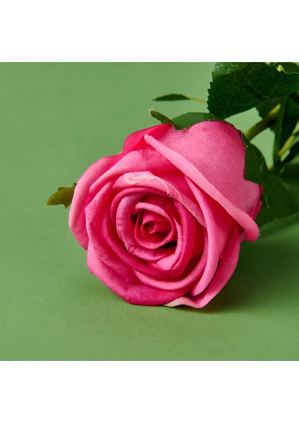 Time Islak Gül Dalı - Asorti - 50 cm modelleri