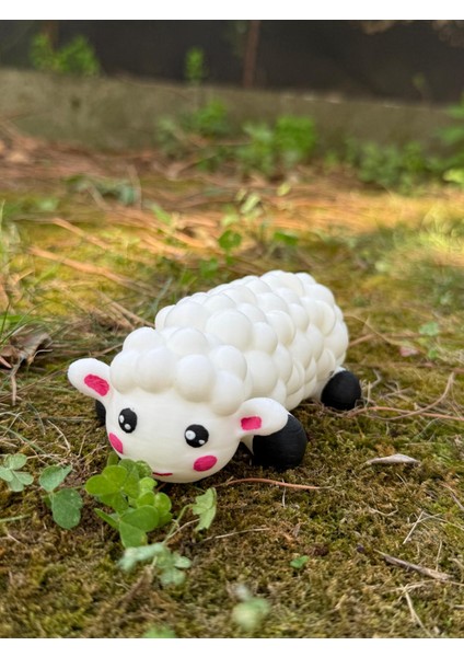 Minik Beyaz Eklemli Kuzu