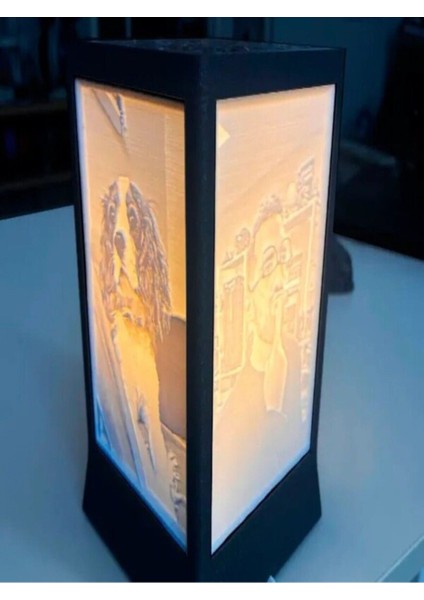 Siyah Modern Tasarım Lamba, Şık ve Kullanışlı Aydınlatma Ürünü modelleri