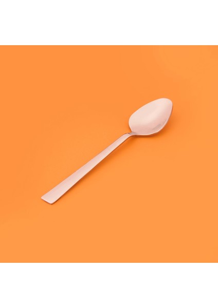 6'lı Çay Kaşığı - Gri fiyatları