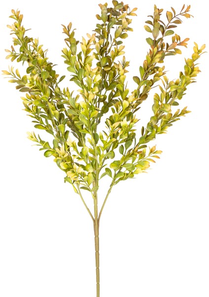 Yapay Bitki Şimşir Kahve/yeşil 55 Cm.