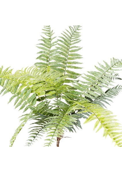 Yapay Bitki Fujer/eğrelti Otu Yeşil 75 Cm. fiyatları