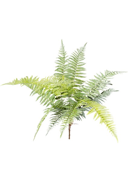 Yapay Bitki Fujer/eğrelti Otu Yeşil 75 Cm. modelleri