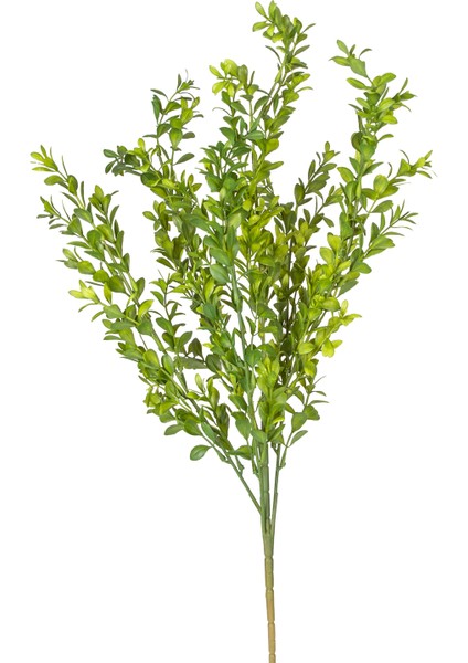 Yapay Bitki Şimşir Yeşil 55 Cm. modelleri