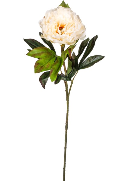 Yapay Şakayık Krem 77 Cm.