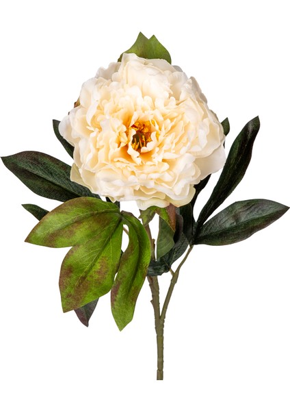 Yapay Şakayık Krem 77 Cm. fiyatları