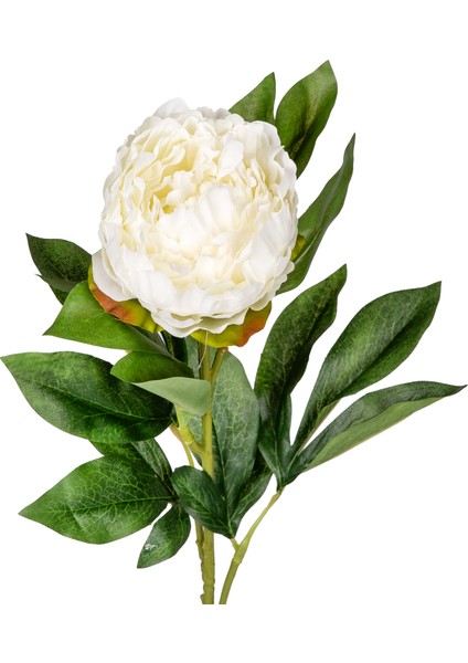 Yapay Şakayık Beyaz 77 Cm. fiyatları