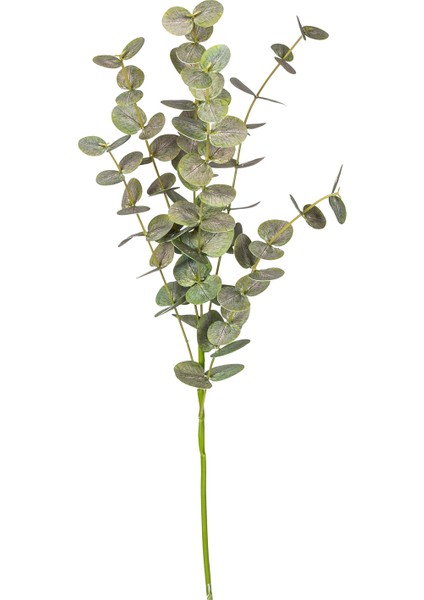 Yapay Okaliptus Dalı Gerçek Dokulu Yeşil 87 Cm. modelleri