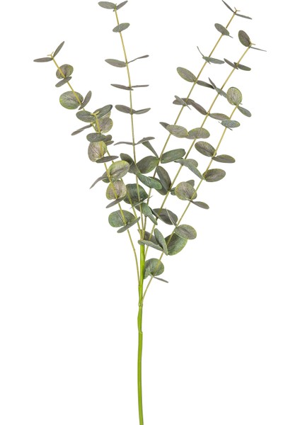 Yapay Okaliptus Dalı Gerçek Dokulu Yeşil 87 Cm. fırsatları