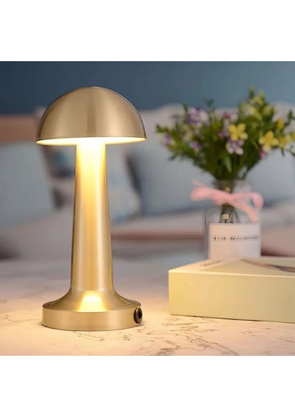 Portatif LED Masa Lambası, Ayarlanabilir Işık Seviyesi ve Gün Boyu Kullanım modelleri