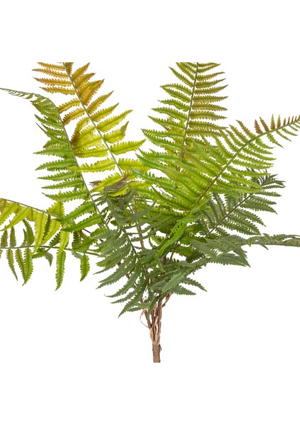 Yapay Bitki Fujer/eğrelti Otu Kızıl/yeşil 75 Cm. fiyatları