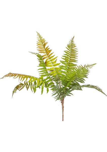 Yapay Bitki Fujer/eğrelti Otu Kızıl/yeşil 75 Cm. modelleri