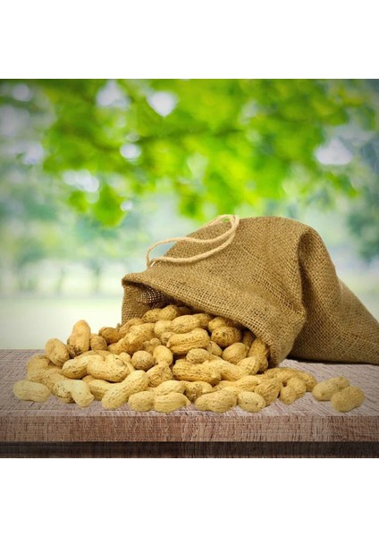 Yeni Sezon Yeni Hasat Çiğ Haşlamalık Taze Yer Fıstığı Taze Söküm (3 Kg) indirimleri