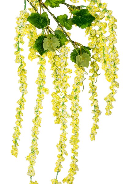 Yapay Gypso Sarkan Sarı 105 Cm. fiyatları