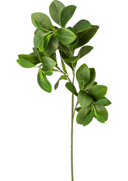 Yapay Manolya Dalı Yeşil 70 Cm. modelleri