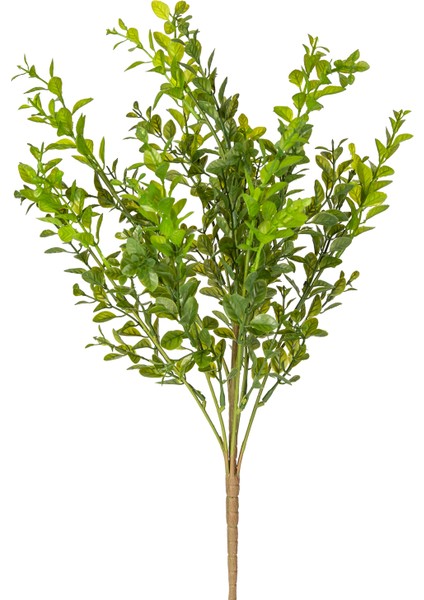 Yapay Bitki Şimşir Demet Koyu Yeşil 55 Cm. modelleri
