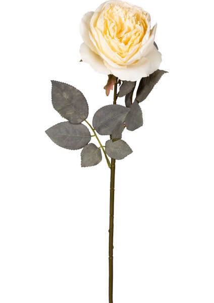 Yapay Şakayık Krem 66 Cm.