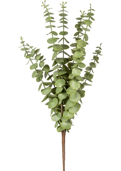 Yapay Okaliptus Demeti Yeşil 50 Cm.