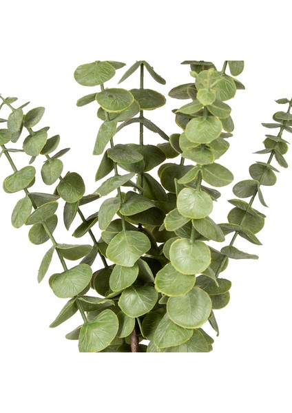 Yapay Okaliptus Demeti Yeşil 50 Cm. fiyatları