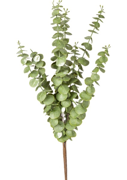 Yapay Okaliptus Demeti Yeşil 50 Cm. modelleri