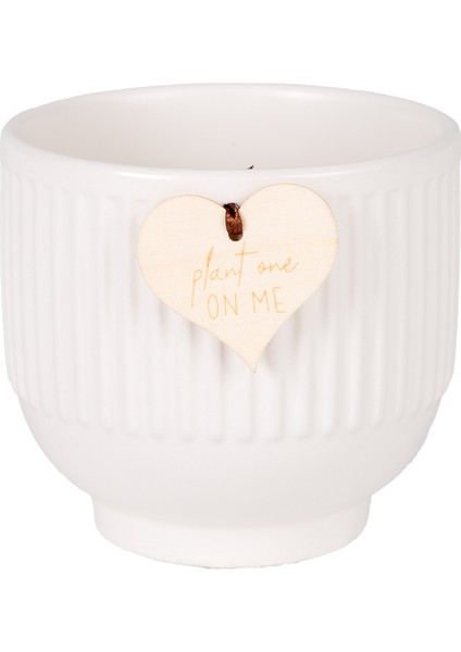 Seramik Saksı Beyaz 10X10.5 Cm.