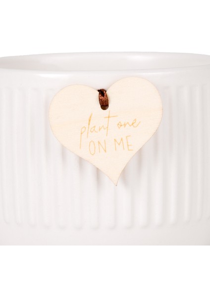 Seramik Saksı Beyaz 10X10.5 Cm. fiyatları