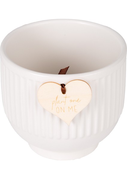 Seramik Saksı Beyaz 10X10.5 Cm. modelleri