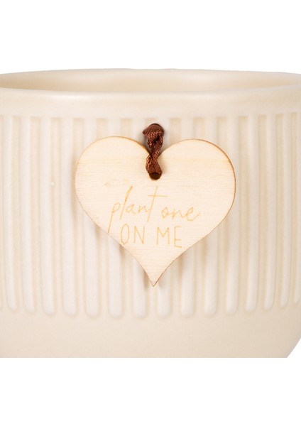 Seramik Saksı Krem 10X10.5 Cm. fiyatları