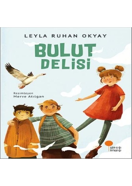 Bulut Delisi
