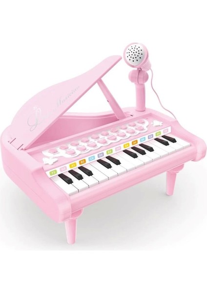 BAO-1505A Mikrofonlu Mini Piano 24 Tuş Mp3 Çalar fırsatları
