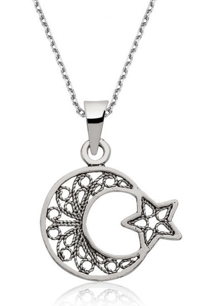 925 Ayar Gümüş Ay Yıldız Kadın Gümüş Kolye (PT2610683) (491491)