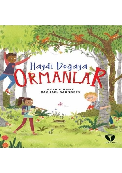 Haydi Doğaya - Ormanlar