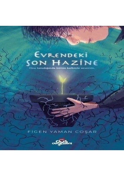 Evrendeki Son Hazine