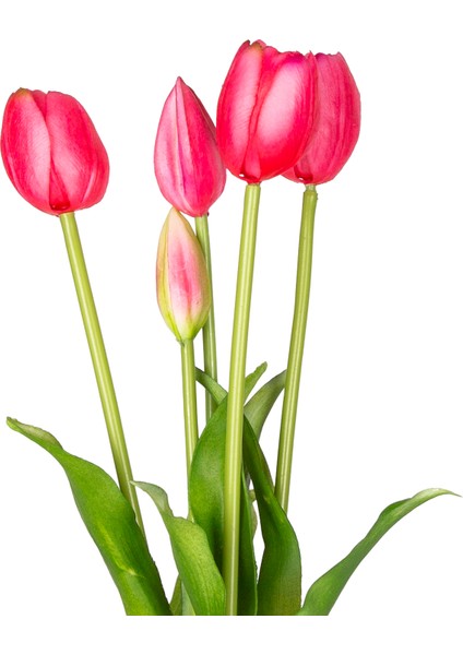 Yapay Lale Islak Dokulu Fuşya 40 Cm. fiyatları