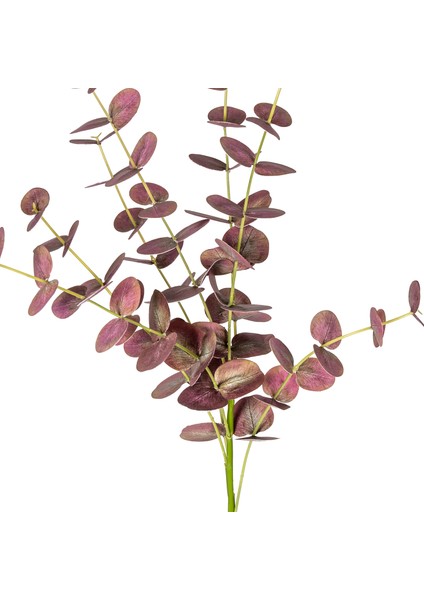 Yapay Okaliptus Dalı Gerçek Dokulu Bordo 87 Cm. fiyatları