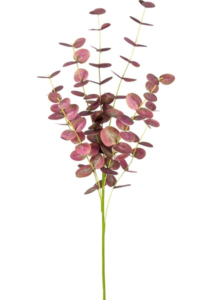 Yapay Okaliptus Dalı Gerçek Dokulu Bordo 87 Cm. modelleri